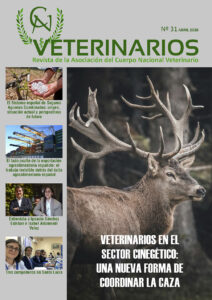 VETERINARIOS Nº 31